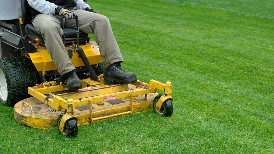 Lawn Maintenance